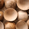 Kwi -plato de calabaza -1 unidad