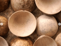 2 Kwi -plato de calabaza -1 unidad