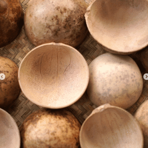 Kwi -plato de calabaza -1 unidad