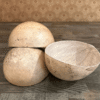 Kwi -plato de calabaza -1 unidad