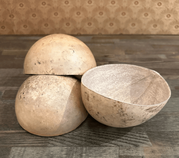Kwi -plato de calabaza -1 unidad